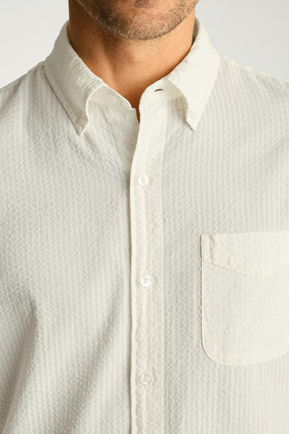 Everyday Shirt Bonobos Popular