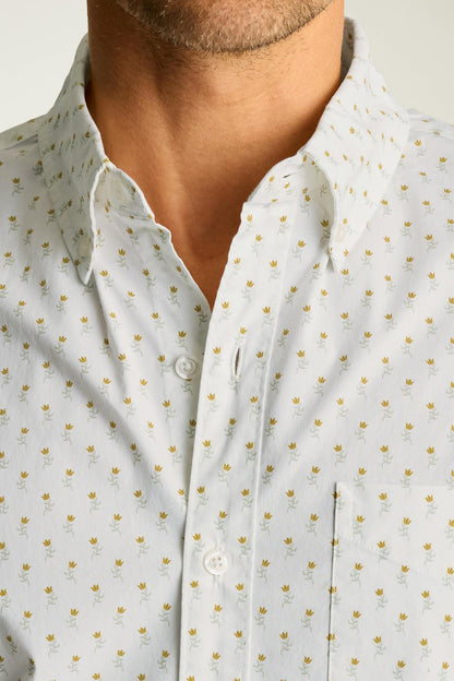 Everyday Shirt Bonobos Featured