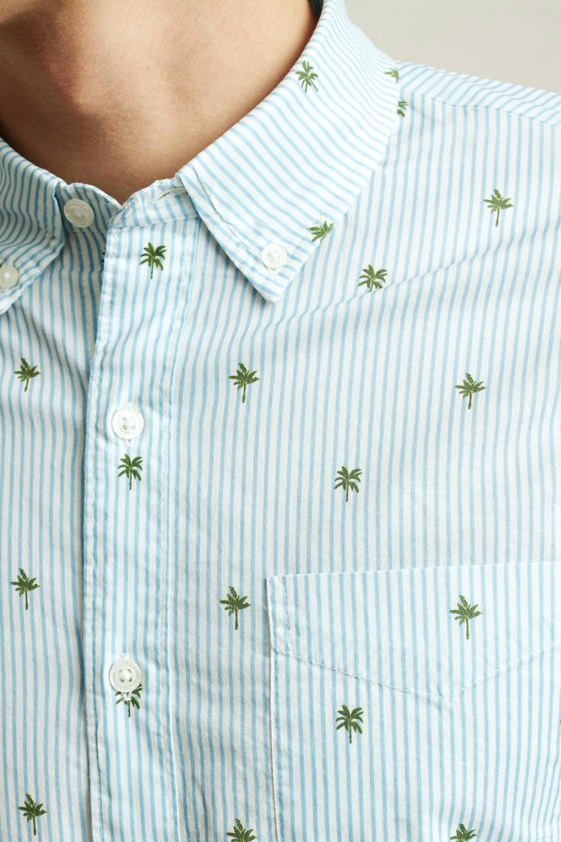 Everyday Shirt Bonobos Trending