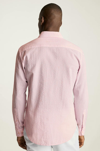 Everyday Shirt Bonobos Popular