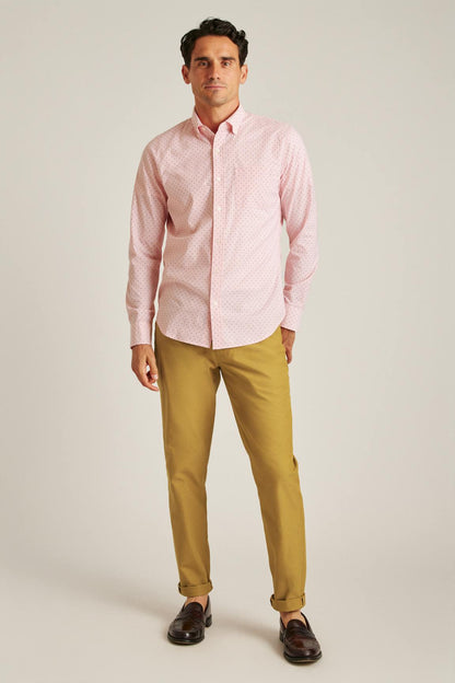 Everyday Shirt Bonobos Featured