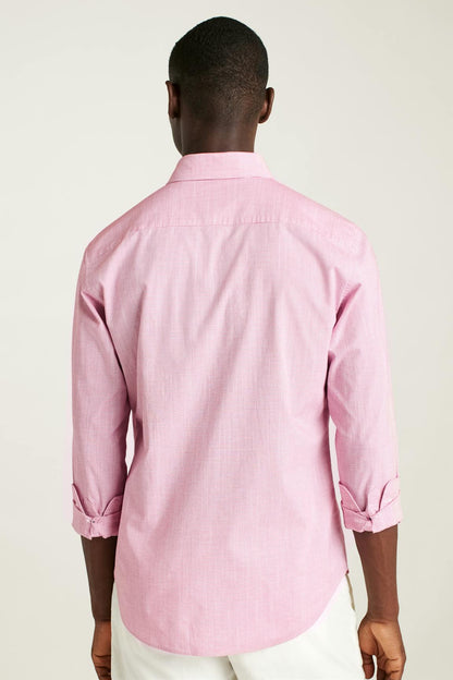 Everyday Shirt Bonobos Featured