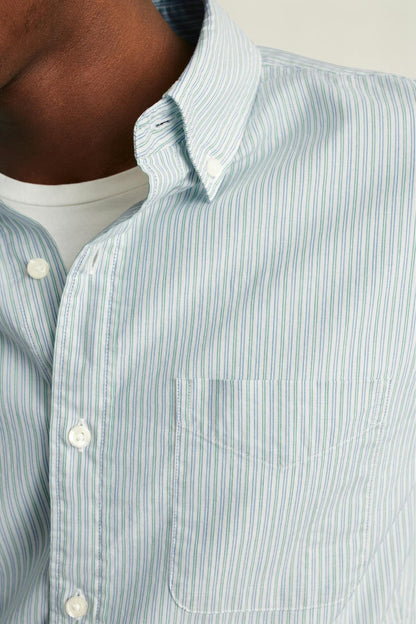 Everyday Shirt Bonobos Trending